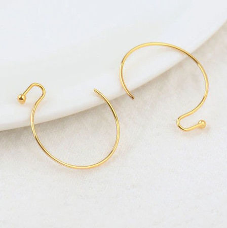Imagen para la categoría Hook Earwire